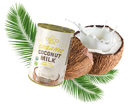 best coconut milk