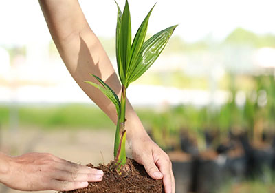 Dấu chân carbon trong hoạt động
